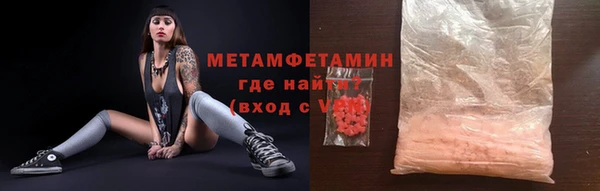 мет Алексин
