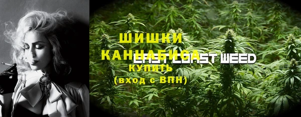 сатива Алексеевка