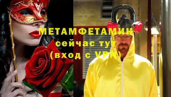 мет Алексин