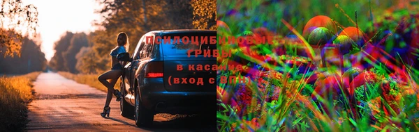 гашишное масло Алзамай