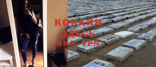сатива Алексеевка