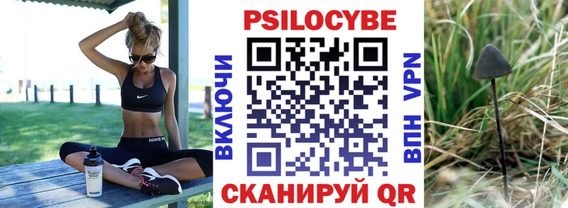 Галлюциногенные грибы Magic Shrooms  Спасск 